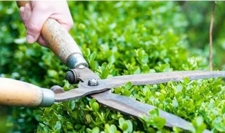 Vệ Sinh Công Nghiệp 36 – Công Ty TNHH Cung Ứng Nhân Lực Và Giải Pháp Nhân Sự 36