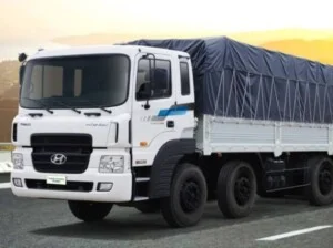 Vận Tải Tân Cường Phát – Công Ty TNHH Dịch Vụ Vận Tải Tân Cường Phát