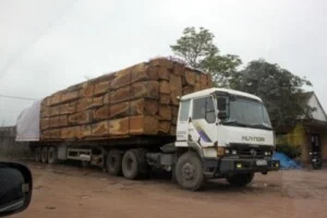 Vận Tải Tân Cường Phát – Công Ty TNHH Dịch Vụ Vận Tải Tân Cường Phát