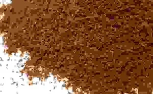 Công Ty TNHH Chế Biến Lương Thực Và Thực Phẩm Thiên Ngọc