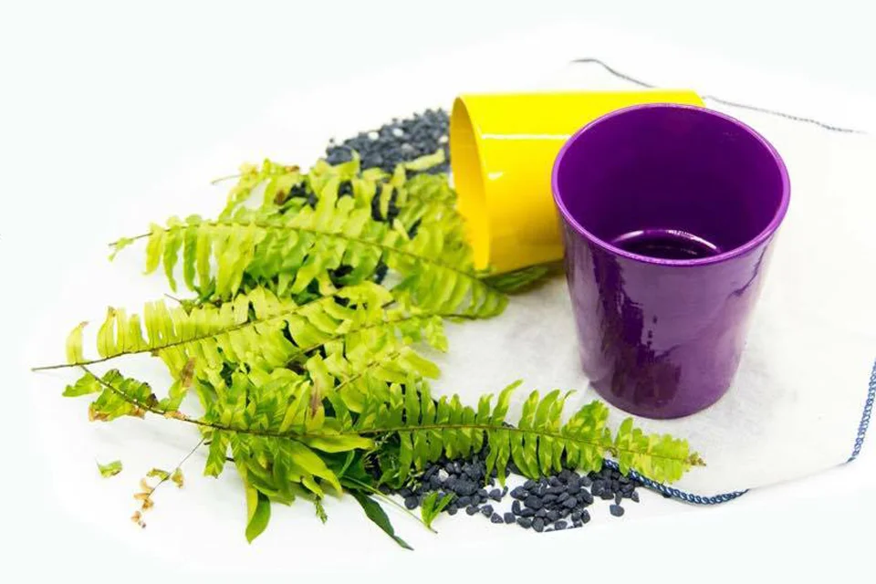 Gốm Sứ Long Trường – Công Ty TNHH Gốm Sứ Long Trường