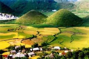 Công Ty TNHH Phát Triển Xây Dựng và Thương Mại Nam Ngọc