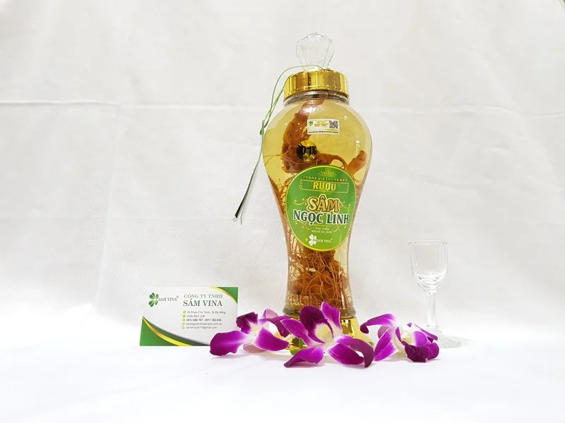 Công Ty TNHH Sâm Vina