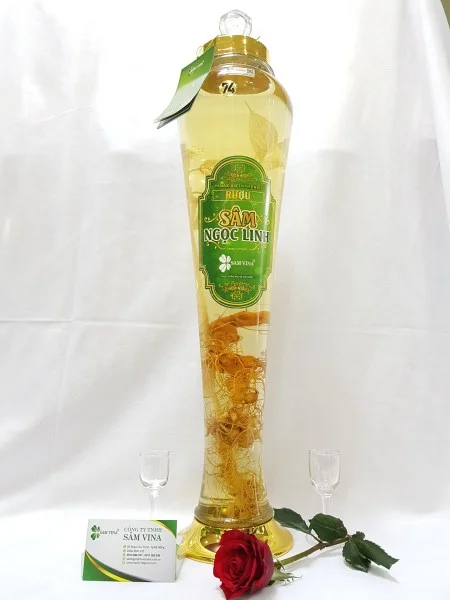 Công Ty TNHH Sâm Vina