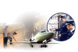 Công Ty CP TM DV Và XNK Bình Minh