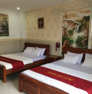 Công Ty TNHH Phát Triển Khách Sạn Đức Long