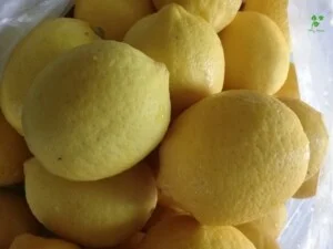 Công Ty TNHH Thương Mại Dịch Vụ Shiny Saigon