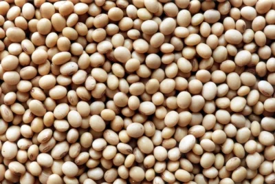 Công Ty TNHH Một Thành Viên Xuất Nhập Khẩu Nông Lâm Hải Sản