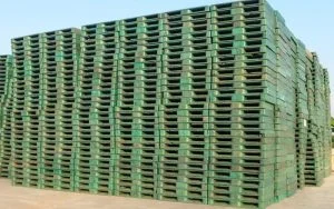 Cơ Sở Pallet Nhựa Tuấn Anh