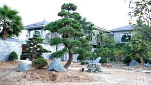 Công Ty TNHH Kiến Trúc Cảnh Quan SGL