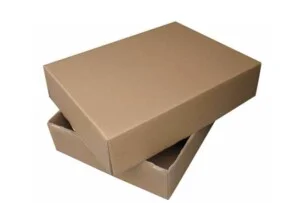Bao Bì Đông Dương Xanh – Công Ty TNHH Đầu Tư Và Phát Triển Đông Dương Xanh