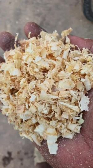 Công Ty TNHH Một Thành Viên Thương Mại Dịch Vụ Hoàng Trọng Nghĩa