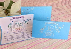 Thiệp Đức Quyền – Công Ty TNHH Thiệp Đức Quyền