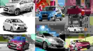 Công Ty TNHH MTV Thế giới Cây Giống