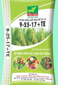Công Ty Cổ Phần Định Vị Việt