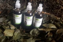 Công Ty TNHH Xây Dựng Phước Phát