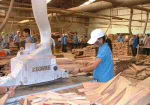 Công Ty Cổ Phần Dịch Vụ Thương Mại Xuất Nhập Khẩu Katabond
