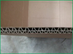 Bao Bì Đồng Thuận Phát – Công Ty Trách Nhiệm Hữu Hạn Bao Bì Đồng Thuận Phát