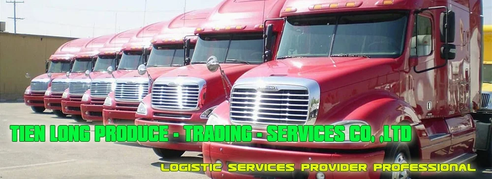 Công Ty TNHH Thương Mại Dịch Vụ Xuất Nhập Khẩu Tiến Long