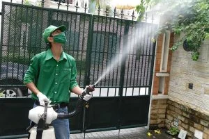 Công Ty TNHH DTM Việt Nam