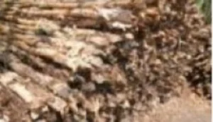 Công Ty TNHH DV Phát Triển Tiến Thành