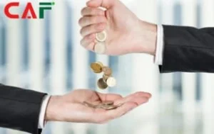 Dịch Vụ Tư Vấn CAF – Công Ty TNHH Dịch Vụ Tư Vấn CAF