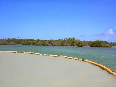 Công Ty Cổ Phần Thương Mại Đầu Tư Trường Phát