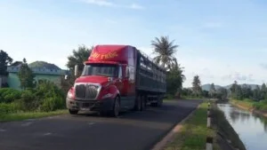 Công Ty TNHH Dịch Vụ Vận Tải Trần Đại Thắng