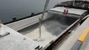 Công ty TNHH Cát Phú Việt Nam