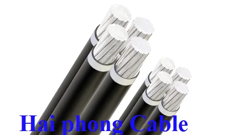 Dây Cáp Điện Hải Phòng – Công Ty TNHH Dây – Cáp Điện Hải Phòng