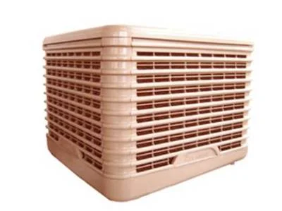 Công Ty TNHH Thương Mại – Dịch Vụ Vạn Thắng Phát