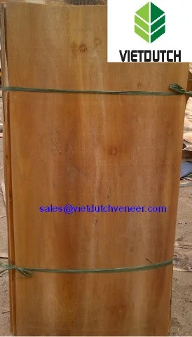 Công Ty CP Việt Dutch Quốc Tế