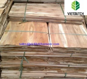 Công Ty CP Việt Dutch Quốc Tế