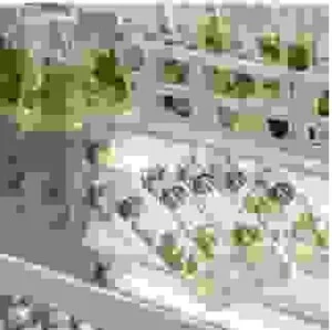 Công Ty TNHH Anh Minh Sang