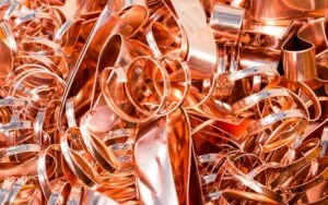 Công Ty TNHH MTV Thiên Phúc Vinh