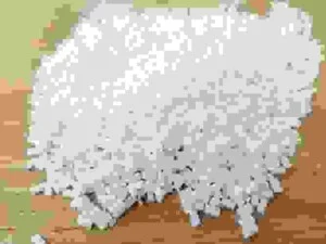 Hạt Nhựa Phân Hủy Sinh Học Biostarch – Công Ty TNHH Biostarch