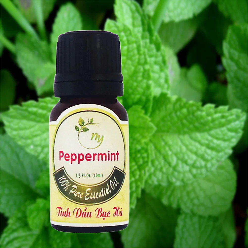 Công Ty TNHH Tinh Dầu Như ý