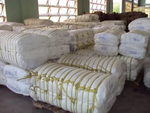 Công Ty Cổ Phần Hóa Chất Nhựa Đà Nẵng