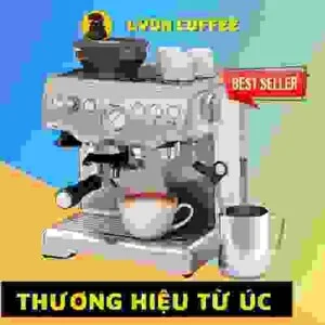 Cà Phê Lyon – Công Ty TNHH Thương Mại Sản Xuất Xuất Nhập Khẩu Trà Cà Phê Lyon