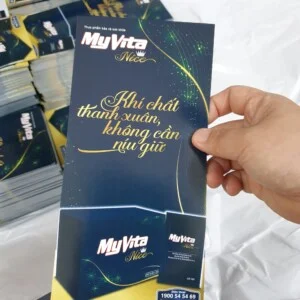 In Menu Nét Việt Plus – Công Ty TNHH Thiết Kế & In ấn Nét Việt Plus