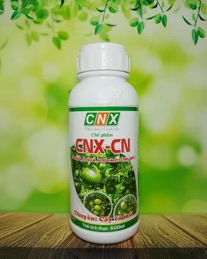 Công Ty TNHH Công Nghệ Sinh Học WAO