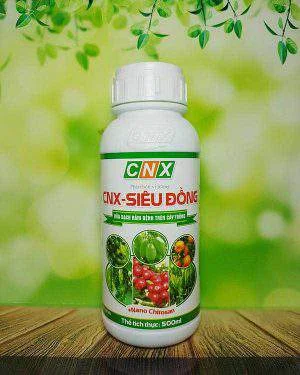 Công Ty TNHH Công Nghệ Sinh Học WAO