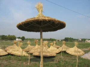 Tre Làng – Công Ty TNHH Tre Làng