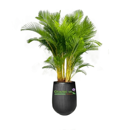 Chậu Composite Bảo Bình – Công Ty Cổ Phần Đầu Tư Thương Mại Bảo Bình