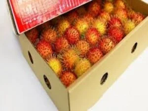 Công Ty TNHH Thanh Hiếu Foodstuff