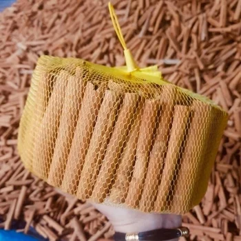 Chi Nhánh Công Ty Cổ Phần Sản Xuất Đông Dương