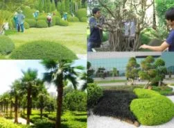 Công Ty TNHH Môi Trường Long Hiệp Phát