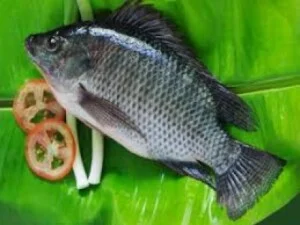 Công Ty TNHH Thanh Hiếu Foodstuff