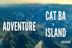Công Ty TNHH Thương Mại và Dịch Vụ Du Lịch Zonitrip