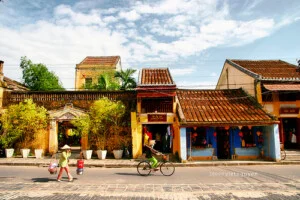 Zentour – Công Ty Thương Mại Và Du Lịch Lam Sơn (Trung Tâm Lữ Hành và Hợp Tác Quốc Tế Sen Việt – Zentour)